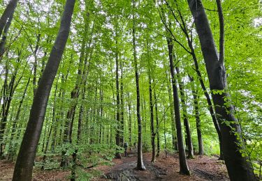 Randonnée Marche La Calamine - Trois,Bornes  -  Vaals - Photo