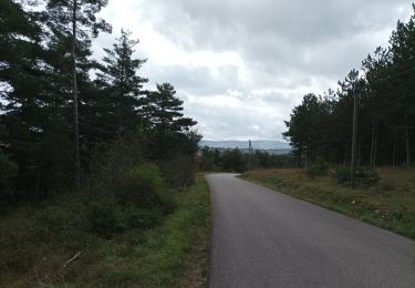 Percorso Bici ibrida Gorges du Tarn Causses - Boucle du Causse Méjean - Photo