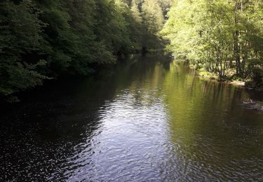 Tour Wandern Hohenfels - filly 260520 - Photo