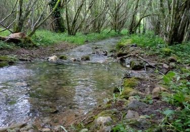 Randonnée Marche Lalinde - Sauveboeuf 14,4km - Photo