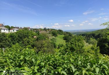 Randonnée Marche Roderen - Roderen - Photo