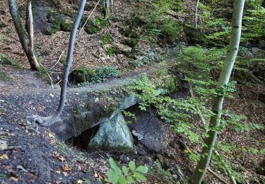 Tocht Te voet Spiegelberg - Rundwanderweg S4 - Photo