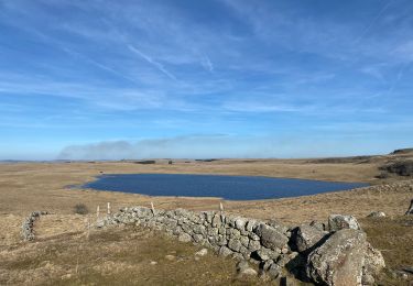 Trail Walking Nasbinals - Tour des lacs - Photo