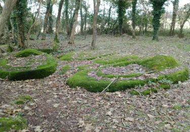 Trail Walking Pont-Aven - PONT-AVEN / RIEC sur BELON - Photo