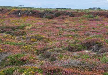 Trail Walking Camaret-sur-Mer - T-St-Julien - Photo