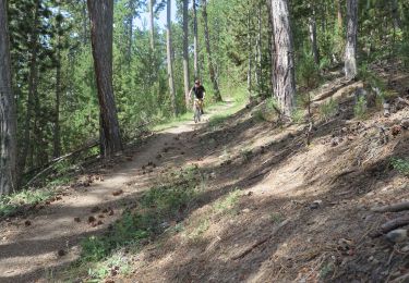 Tour Mountainbike Barcelonnette - Le Bonnet Vert VTT - Photo