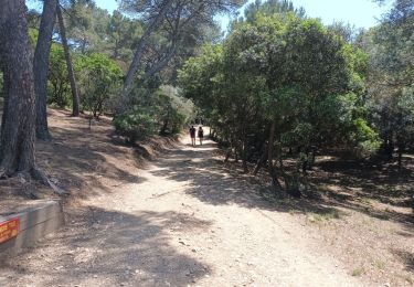 Trail Walking Hyères - Presqu'île Giens Ouest-26-05-23 - Photo