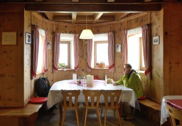 Excursión A pie Völs am Schlern - Fiè allo Sciliar - Touristensteig - Photo