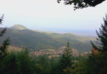 Excursión Bici de montaña Bergheim - 1 ère sortie - Photo