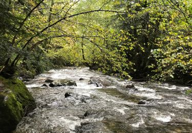 Excursión A pie Mont-Dore - Le Puy Gros - Photo