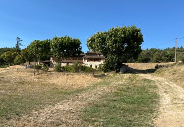 Trail Horseback riding Buoux - Provence 2025 J2 - Photo