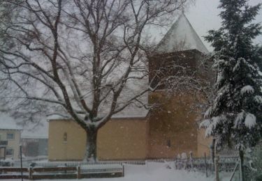 Percorso A piedi Bad Arolsen - Bad Arolsen Wanderweg M6 - Photo