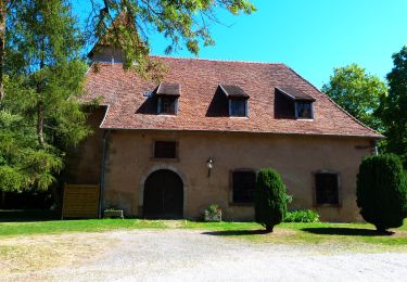 Trail On foot Eschbourg - Triangle rouge - Photo