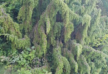 Tour Wandern Parmain - Tour du Lay , Ronquerolle - Photo