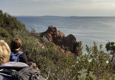 Percorso Marcia Théoule-sur-Mer - Theoule. notre dame d Afrique. le pique de l l'aiguille,  col de Theoule - Photo