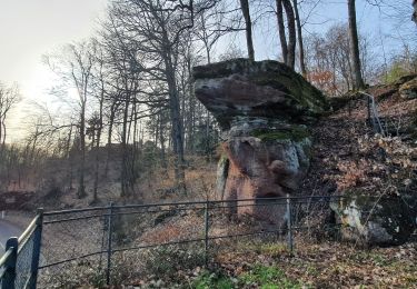 Tocht Stappen La Petite-Pierre - la petite pierre, les rochers - Photo