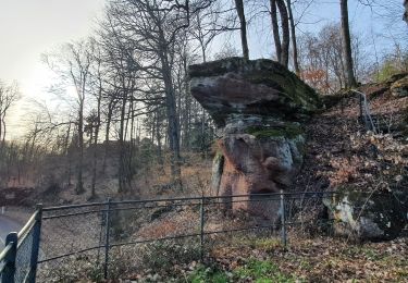 Excursión Senderismo La Petite-Pierre - la petite pierre, les rochers - Photo