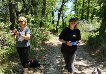 Percorso Camminata nordica Villelaure - Villelaure Marche nordique - Photo