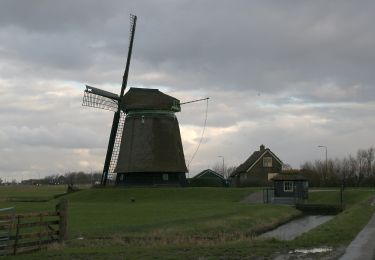 Tocht Te voet Schagen - Burgerbrug blauw 8,1 km - Photo