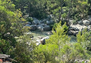 Tour Wandern Venaco - Venez-vous - Photo