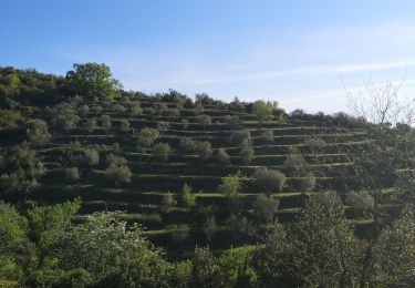 Trail Nordic walking Saint-Ambroix - monta let  - Photo