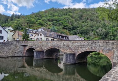 Tour Wandern Esch an der Sauer - Esch-sur-Sûre (PVDB) - Photo