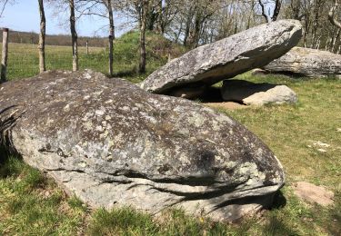 Trail Walking Chauvé - Menhirs de Chauvé - Photo