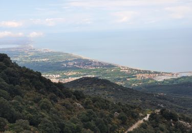 Tour Wandern Argelès-sur-Mer - valmy-LaMassane_T - Photo