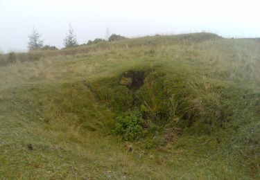 Tour Zu Fuß  - Gyimes gerincútvonal Sárga sáv (Y) - Photo