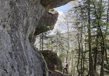 Tour Wandern Engins - Pas du curé Pas de la Corne - Photo