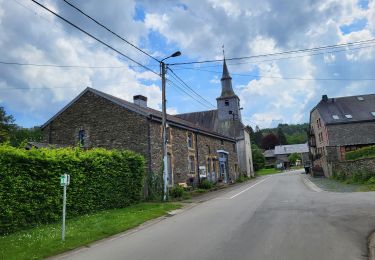 Tocht Stappen Vresse-sur-Semois - Laforet 200524 - Photo