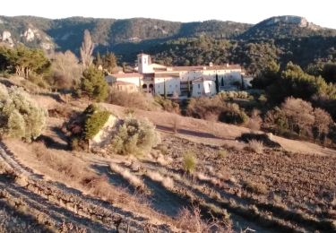 Tocht Stappen Le Barroux - le barroux 84 clairier - Photo