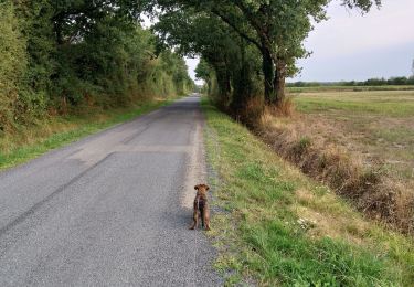 Tocht Stappen Blain - la Cornière St Marie  - Photo