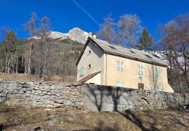 Excursión Senderismo Montmaur - Les Sauvas - Photo