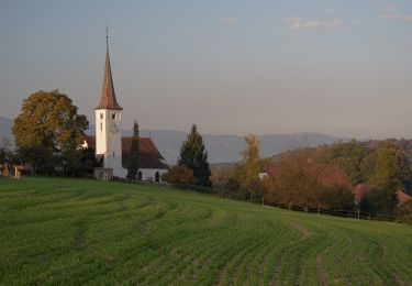 Percorso A piedi Oberwil bei Büren - Oberwil - Photo