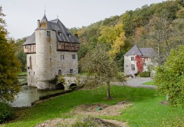 Excursión A pie Assesse - CRUPET ... par les Comognes de Jassogne et le sentier réhabilité d'Inzèfis. - Photo