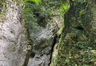 Trail Walking Montefortino - Gole dell’ infernaccio - Photo