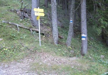 Tour Zu Fuß Gemeinde Neuberg an der Mürz - Schutzsteig - Photo