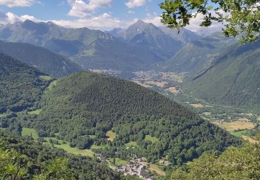 Excursión Senderismo Lançon - Lanson - Photo