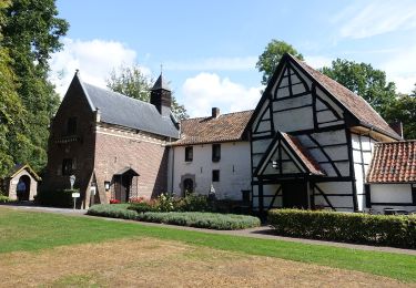 Tocht Te voet Hoeselt - Vrijhern Oranje bol - Photo