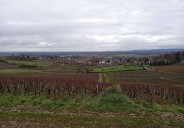 Randonnée Marche Jully-lès-Buxy - Jadis - Photo