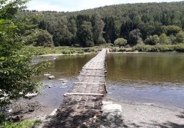 Tocht Stappen Vresse-sur-Semois - laforet 060820 - Photo