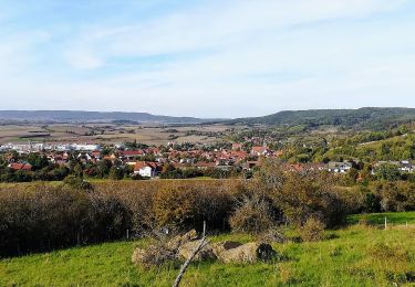 Excursión A pie Königsberg in Bayern - Lauftour KÖN3 - Photo