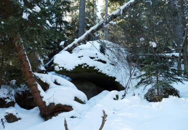 Trail On foot Stožec - Naučná Medvědí stezka - Photo