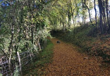 Tour Wandern Martel - Grand  lac  - Photo