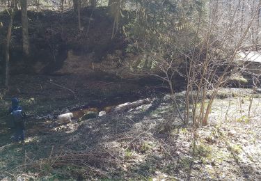 Percorso A piedi Saint-Gervais - Le Rivet ou la ferme des Ecouges - Photo