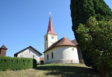 Tocht Te voet Taufkirchen an der Pram - Kirchensteig Laufenbach-Maad - Photo