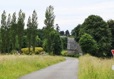 Randonnée Marche Lampaul-Guimiliau - petite st anne - Photo