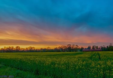 Tocht Te voet Eichenau - Rundwanderweg Emmeringer Leite - Photo