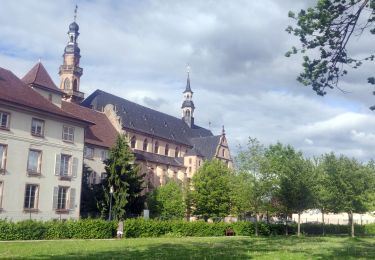 Excursión Senderismo Molsheim - Randonnée l'après-midi - Photo